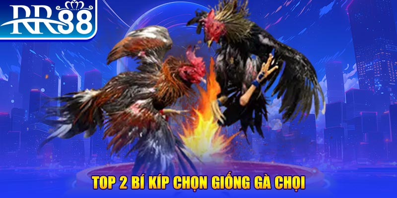 8kbe bắn cá h5