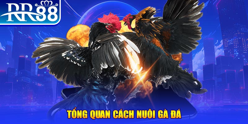 8kbe xổ số thứ ba