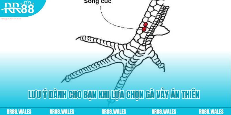 8kbe xổ số khánh hòa