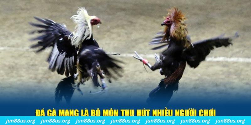 8kbe xổ số long an