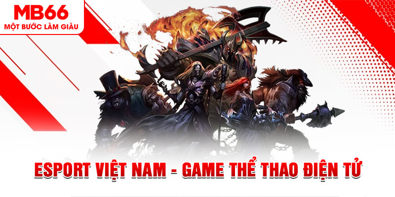 8kbe PT Điện Tử