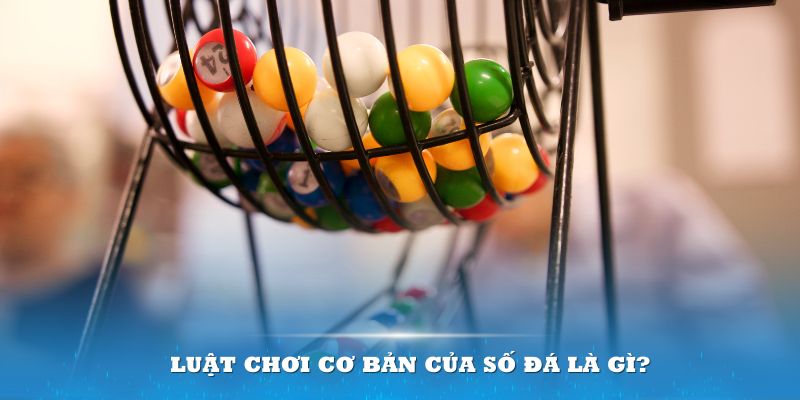 8kbe Đĩa màu ace