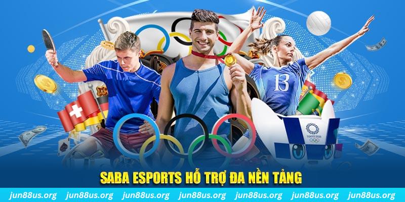 8kbe gà chọi cu cần