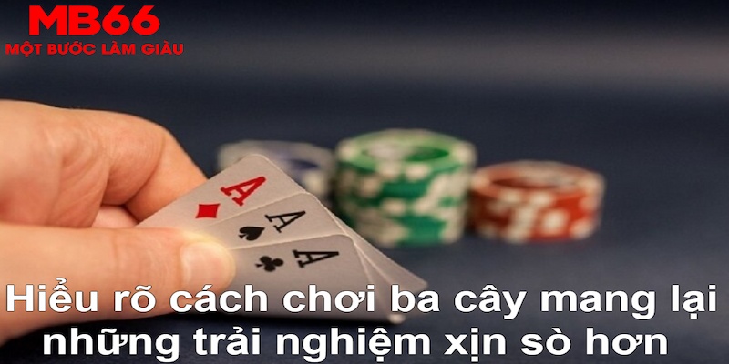 8kbe DB Trực Tuyến